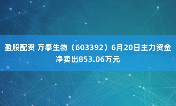 盈股配资 万泰生物（603392）6月20日主力资金净卖出853.06万元