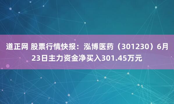 道正网 股票行情快报：泓博医药（301230）6月23日主力资金净买入301.45万元