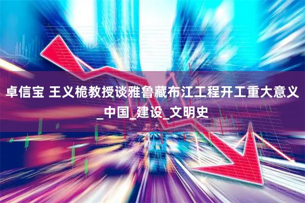 卓信宝 王义桅教授谈雅鲁藏布江工程开工重大意义_中国_建设_文明史