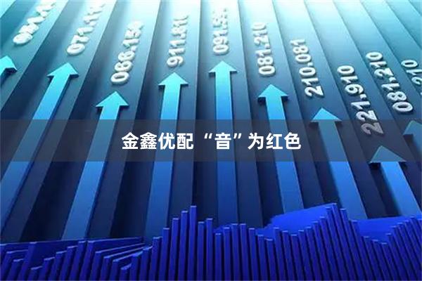 金鑫优配 “音”为红色