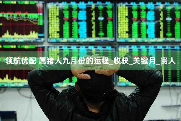 领航优配 属猪人九月份的运程_收获_关键月_贵人